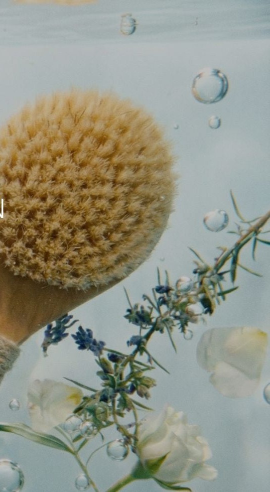 Dry body brush and botanicals suspended underwater.